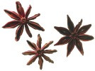 Star Anise
